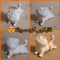 تصویر محصول قالبگچی انگشتی گربه سربالا گیوامولد